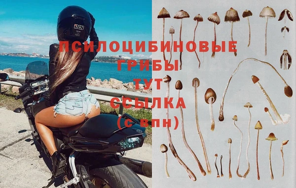 молекула духа Белокуриха